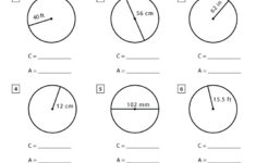 Circumference And Area Of A Circle Worksheet Math Monks